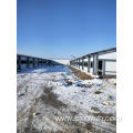 Steel Structure Warehouse for Chicken